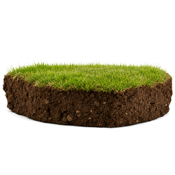 ground