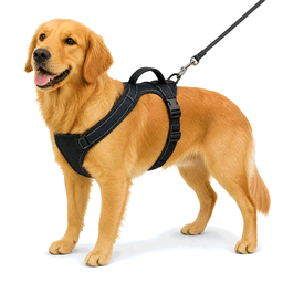 harness