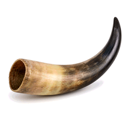 horn