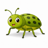 insect
