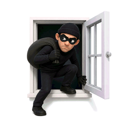 intruder