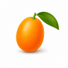 Kumquat