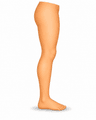 leg