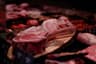 meat