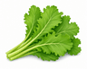 Mustard Leaves