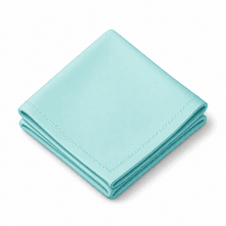 napkin