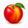 Nectarine