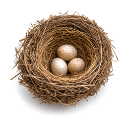 nest