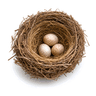 nest