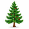 Pine tree