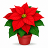 Poinsettia