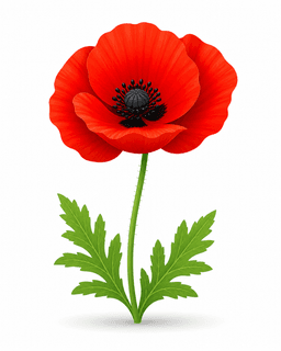 poppy