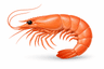 Prawn