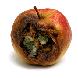 rotten
