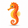Sea horse