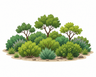 Shrubland