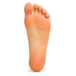 sole