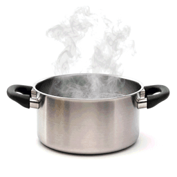 steam
