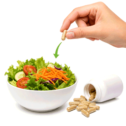 supplement