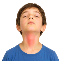 throat