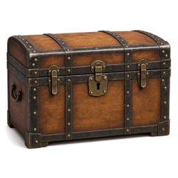 trunk