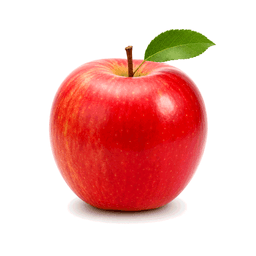 unit