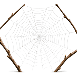web