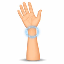 wrist