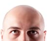 bald