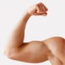 biceps