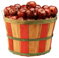 bushel