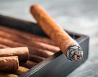cigar