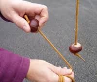 conkers