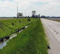 ditch