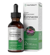 echinacea