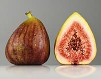 fig
