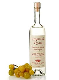 grappa