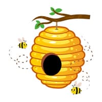 hive