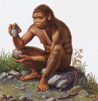 homo erectus