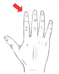 index finger