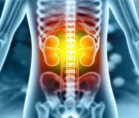 kidneys