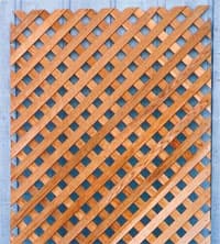 lattice
