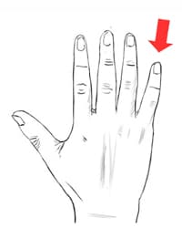 little finger