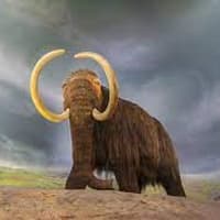 mastodon