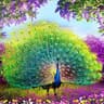 peacock