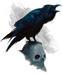 raven
