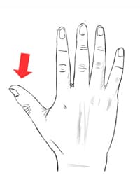 thumb
