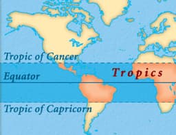 Tropics