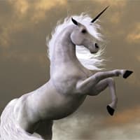 unicorn