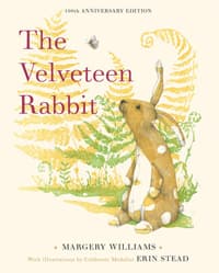 Velveteen Rabbit